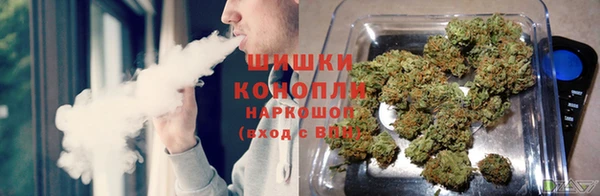 ГАЛЛЮЦИНОГЕННЫЕ ГРИБЫ Горняк