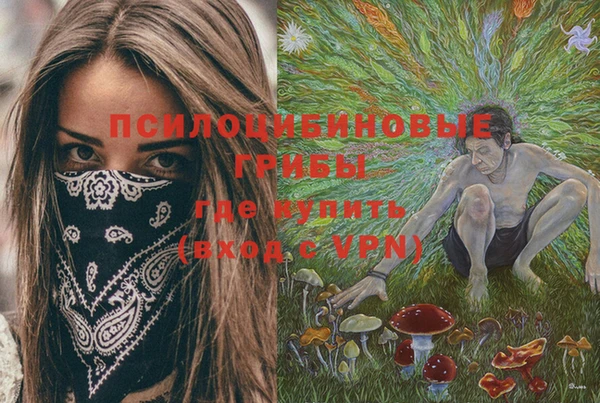 ГАЛЛЮЦИНОГЕННЫЕ ГРИБЫ Горняк