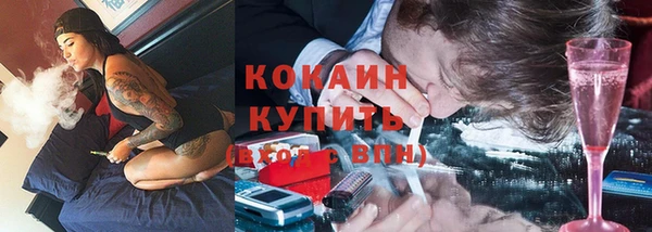 ГАЛЛЮЦИНОГЕННЫЕ ГРИБЫ Горняк