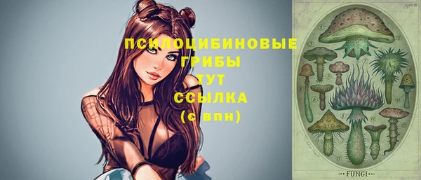 ГАЛЛЮЦИНОГЕННЫЕ ГРИБЫ Горняк