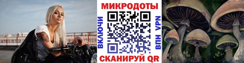 Галлюциногенные грибы Cubensis Переславль-Залесский